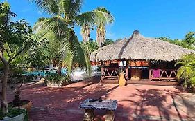 Woodstock Palmresort Curacao